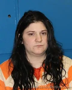 Mugshot of AMANDA LYNN FIELDS booked in Eastland County, Texas on May 2, 2026
