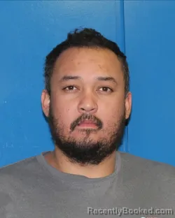 Mugshot of HENNY FERNANDO MEJIA SANDOVAL