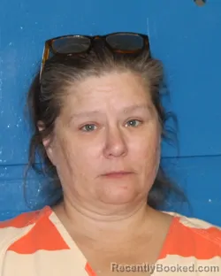 Mugshot of MELISSA KAY COOLEY