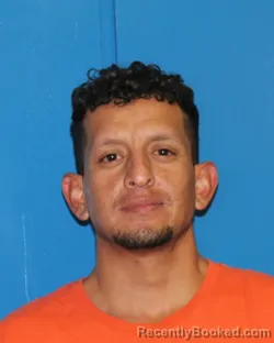 Mugshot of JESUS MARIO JR VELOZ