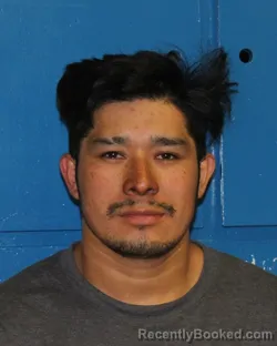 Mugshot of JOSE LUIS SANCHEZ-CORTES