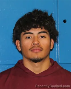 Mugshot of JOSE ALAIN MILLA-ALVARADO