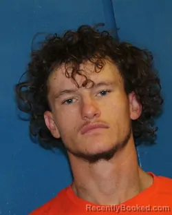 Mugshot of ANTHONY DESTIN SELLERS