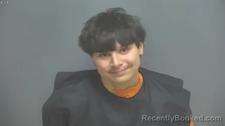 Mugshot of AYDEN DALLAS ALMANZA booked in Amherst County, Virginia on June 19, 2026