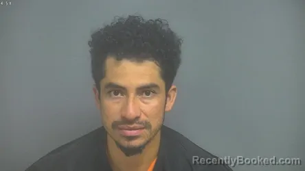Mugshot of ALFREDO ALBERTO CATOTA ALBANEZ booked in Amherst County, Virginia on May 7, 2026