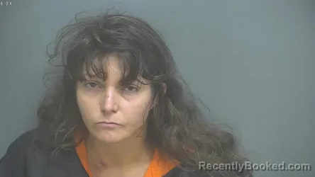 Mugshot of AMBER MARIE FRANCIS booked in Amherst County, Virginia on April 16, 2026