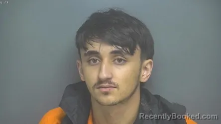 Mugshot of Ahmed Ramy Mahmoud Hashad booked in Amherst County, Virginia on August 5, 2026
