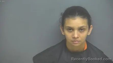 Mugshot of Amanda Guadalupe Mena Wassmer booked in Amherst County, Virginia on September 4, 2026