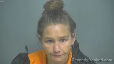 Mugshot of CRYSTAL LEE HANCOCK booked in Amherst County, Virginia on June 14, 2026