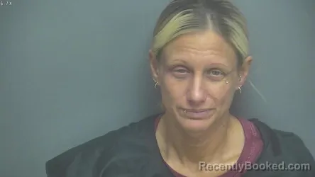 Mugshot of CRYSTAL MICHELLE KOSEGI booked in Amherst County, Virginia on June 4, 2026