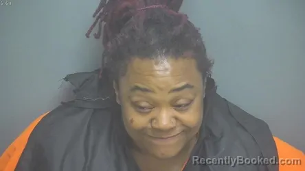 Mugshot of CATHERINE SHANECE ROBINSON booked in Amherst County, Virginia on April 23, 2026