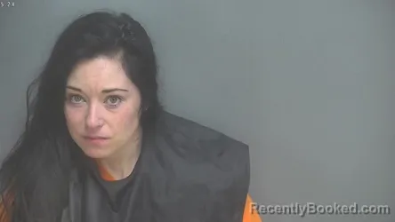 Mugshot of CAROLANN MARIE VANGILDER