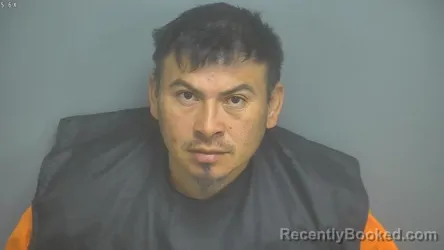 Mugshot of ELWIS ALFREDO ALVARADO OCHOA