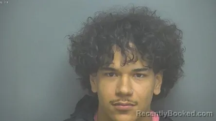 Mugshot of ELIJAH MINNIS booked in Amherst County, Virginia on May 30, 2026