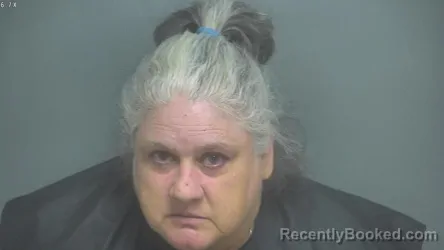 Mugshot of JUDITH ANN CAMP booked in Amherst County, Virginia on June 8, 2026