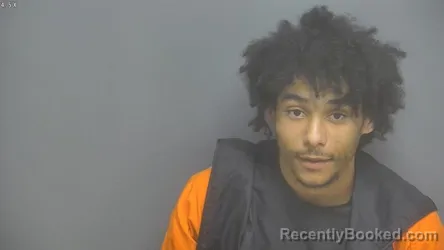 Mugshot of JAKOB EARL MARTIN booked in Amherst County, Virginia on April 3, 2026