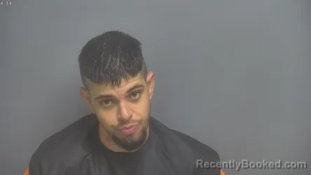 Mugshot of Joel Brent Wilkes booked in Amherst County, Virginia on October 2, 2026