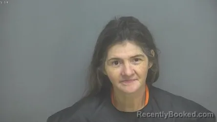 Mugshot of KIMBERLY DAWN DRISKILL booked in Amherst County, Virginia on May 4, 2026