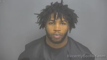 Mugshot of Kylee Xavier Burrell Martin booked in Amherst County, Virginia on July 31, 2026