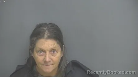 Mugshot of LISA SMITH COOKE booked in Amherst County, Virginia on April 20, 2026