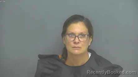 Mugshot of Leighann Nicole Goins booked in Amherst County, Virginia on August 28, 2026