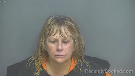 Mugshot of LESA DAWN HALL booked in Amherst County, Virginia on June 22, 2026