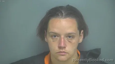 Mugshot of MICHELLE LYNN BRYANT booked in Amherst County, Virginia on June 9, 2026