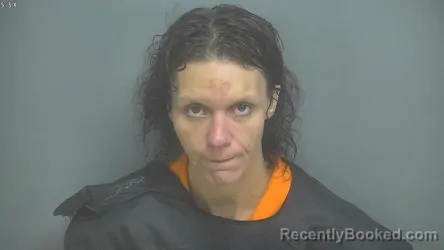 Mugshot of MEAGAN ROSE DOW booked in Amherst County, Virginia on April 21, 2026