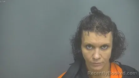 Mugshot of MEAGAN ROSE DOW booked in Amherst County, Virginia on May 14, 2026