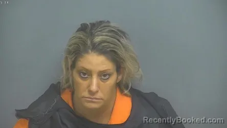 Mugshot of MEGAN FRANCISCO LANG booked in Amherst County, Virginia on August 3, 2026