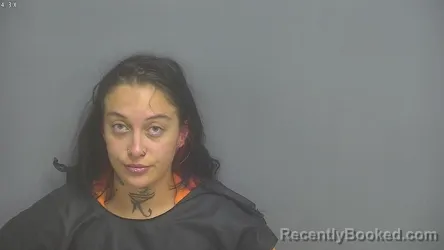 Mugshot of SUMMER LYNN BARNETT booked in Amherst County, Virginia on August 2, 2026