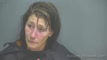 Mugshot of TERESA LYNN COLLINS