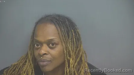 Mugshot of TANEISHA DANETTE FRANKLIN