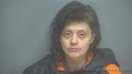 Mugshot of TESS COLLEEN HILTON booked in Amherst County, Virginia on April 9, 2026