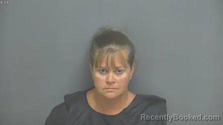 Mugshot of TIFFANY DALE KING booked in Amherst County, Virginia on June 19, 2026