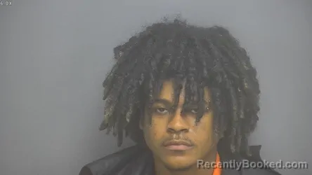 Mugshot of TYRIQ VASHAUD PANNELL booked in Amherst County, Virginia on April 17, 2026