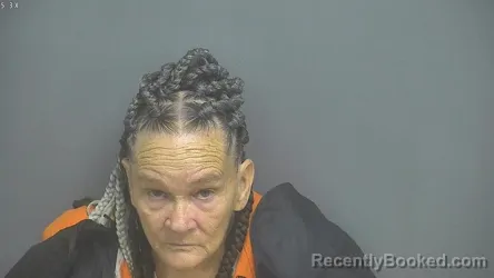 Mugshot of Tammy Marie White booked in Amherst County, Virginia on July 24, 2026