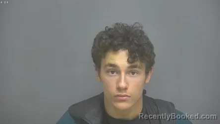 Mugshot of Wyatt Austin Martin booked in Amherst County, Virginia on July 24, 2026