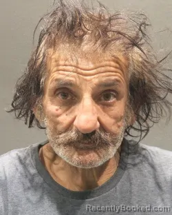 Mugshot of SHEAR ALI