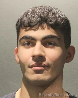 Mugshot of CYRUS DARVISHIAN