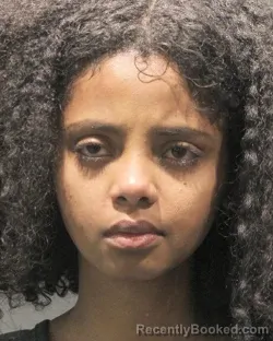 Mugshot of FIKER BEKELE TAMRU