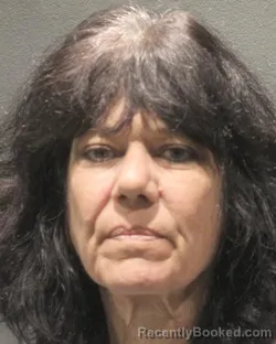 Mugshot of JOYCE ANN GUINASSO