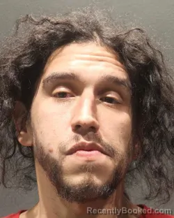 Mugshot of RUDDY MACHADO