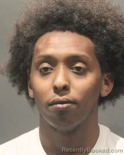 Mugshot of KIDUS WEGEN