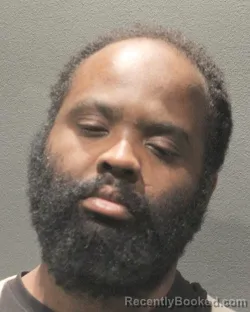 Mugshot of DELROY MCGANN