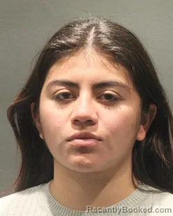 Mugshot of EDELIN JISSELLE JUAREZ