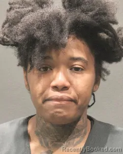 Mugshot of TYTEANNA SHADAEJA ADAMS