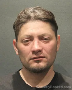 Mugshot of EVER GONZALEZ SALMERON