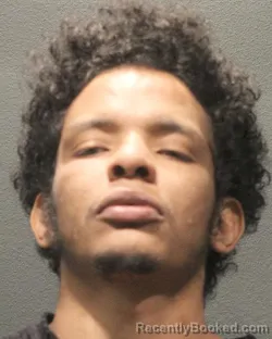 Mugshot of RIHEMAN ELNOUR