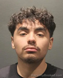 Mugshot of HERSON DAVID VENTURA